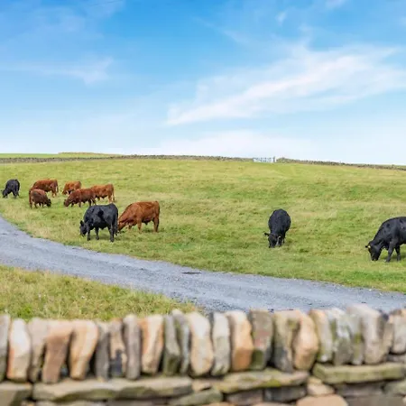 別荘 High Stubbing Farm